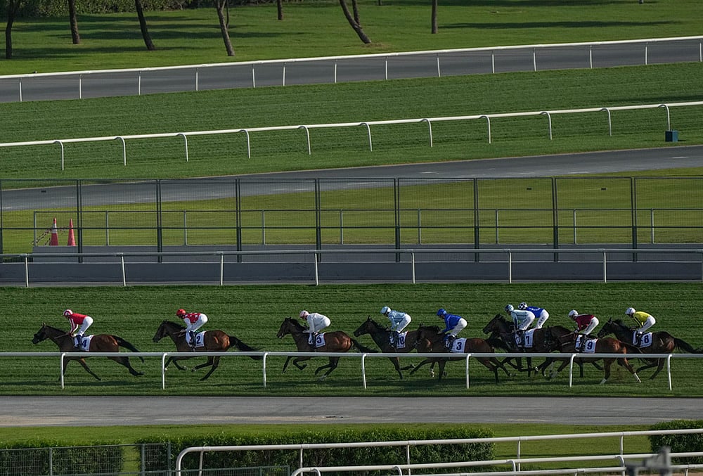 Glamour at the Dubai World Cup horse race but thinner crowds due to Iran war-Horses gallop