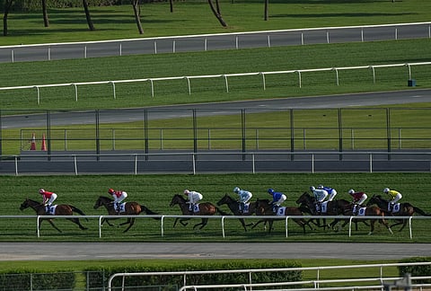 Horses gallop as they compete in Dubai Gold Cup at Meydan Racecourse in Dubai, the United Arab Emirates.