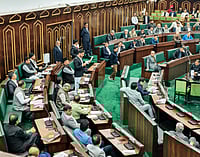 Para's Proposal For J&K’s Fresh Reorganisation Stirs Political Row IMAGO / ANI News : Jammu and Kashmir People s Democratic Party (JKPDP) MLA, Waheed Ur Rehman Para, speaks during the ongoing budget session at Jammu and Kashmir Assembly