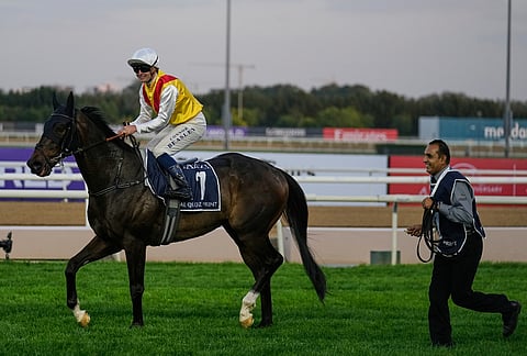 Native Approach with jockey Connor Beasley wins $2 million Al Quoz Sprint over 1200m (5 furlongs) at Meydan Racecourse in Dubai, the United Arab Emirates.