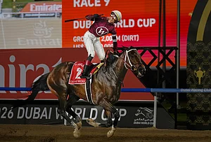 | Photo: AP/Altaf Qadri : Jockey Jose Ortiz, aboard Magnitude, celebrates winning the $12 million Dubai World Cup horse race over 2000m (10 furlongs) at Meydan Racecourse in Dubai, the United Arab Emirates.