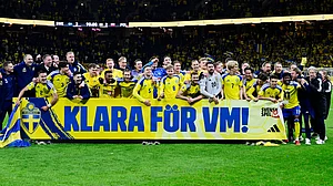 Jonas Ekstromer/TT via AP : Sweden players and staff celebrate qualifying for the World Cup after a World Cup qualifying playoff final soccer match between Sweden and Poland in Stockholm.