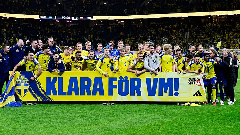 Sweden players and staff celebrate qualifying for the World Cup after a World Cup qualifying playoff final soccer match between Sweden and Poland in Stockholm. - Jonas Ekstromer/TT via AP