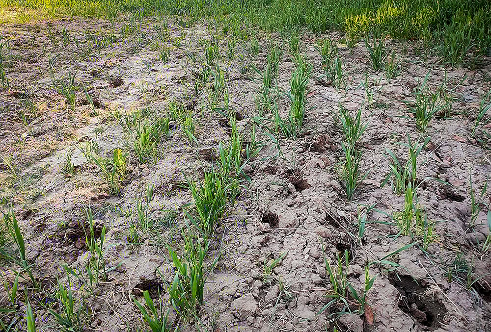 Marble Dumping Yard in Rajasthans Kishangarh