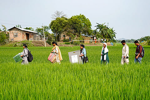 Election officials walk through a field carrying postal ballots ahead of the Assam Assembly Election, at Buraburi in Morigaon district.