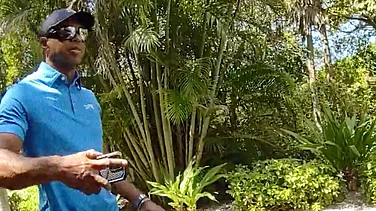 Martin County Sheriff's Office via AP