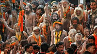 Representative Image  : Haridwar Proposes Relocating Meat Shops Before Next Year’s Ardh Kumbh