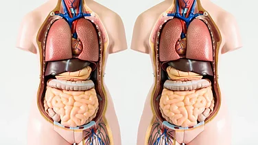 RML Hospital Doctors Perform Rare Life Saving Surgery On Mirror Image Heart Patient