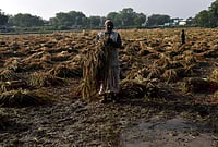 Day In Pics: April 04, 2026 | Photo: PTI : A worker gathers damaged wheat crop following rain and hailstorm that hit several villages, in Agra, Uttar Pradesh.