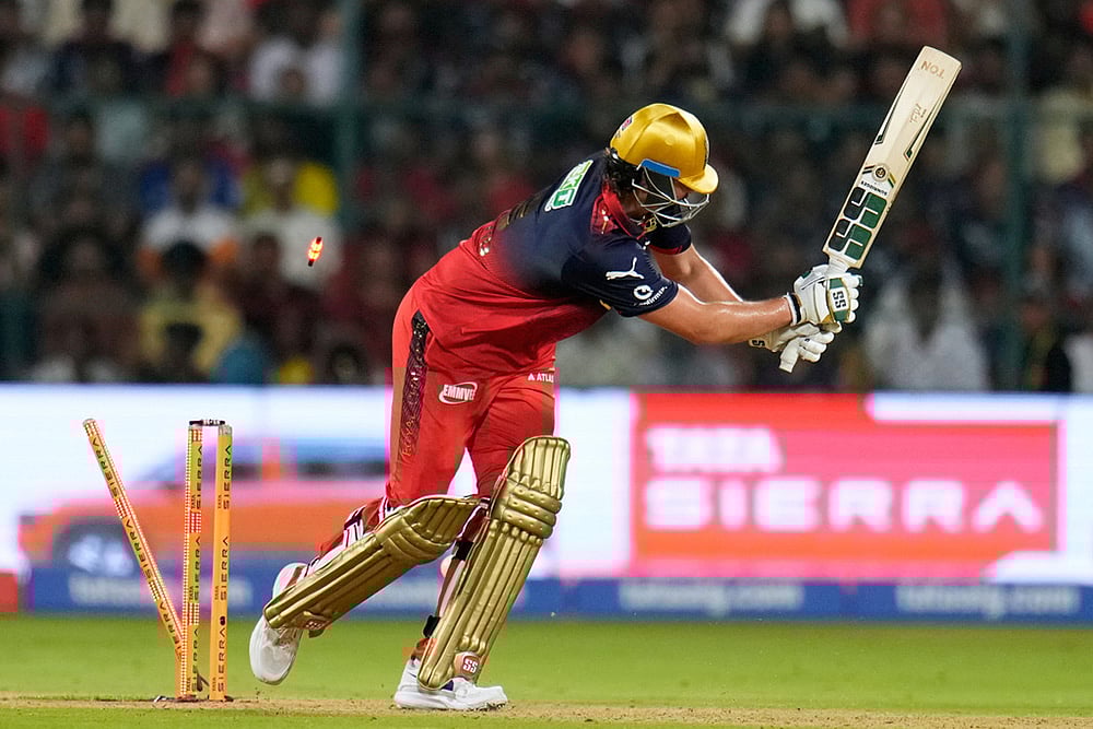 Tim David Indian Premier League