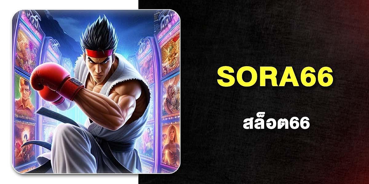 SORA66