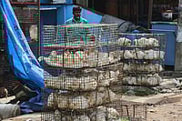 Ahead of Ardh Kumbh, Haridwar Plans to Move Meat Shops Outside City Limits IMAGO / NurPhoto : Rep. Image