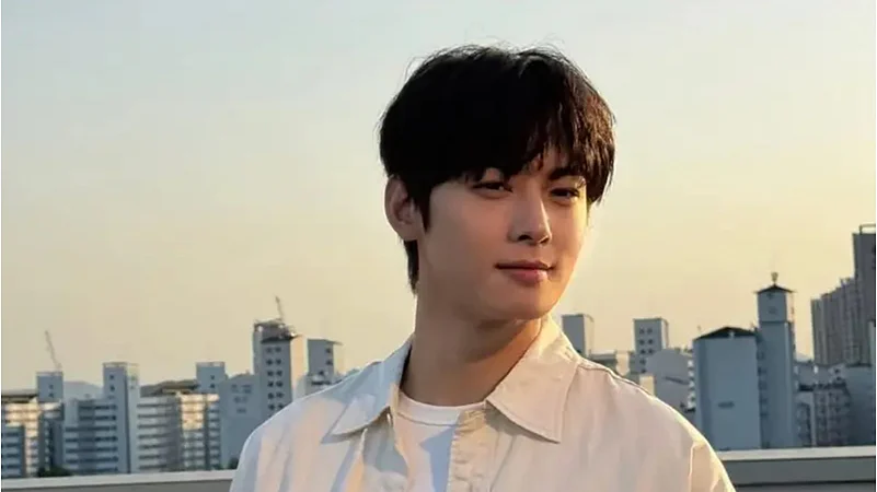 Cha Eun Woo tax evasion case