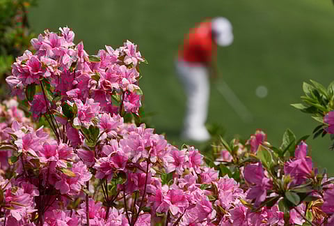 Sungjae Im, of South Korea, chips to the green on the 16th hole during a practice round ahead of the Masters golf tournament at the Augusta National Golf Club, in Augusta, Georgia.
