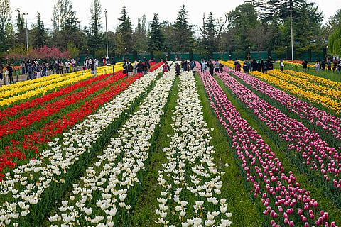 People visit the Indira Gandhi Memorial Tulip Garden, in Srinagar, Jammu and Kashmir.