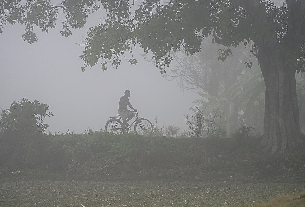 Weather: Fog in WBs Nadia