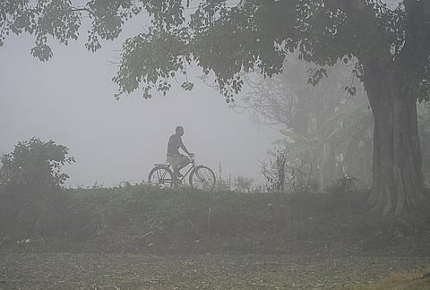 A man rides a bicycle through dense fog, in Nadia, West Bengal.