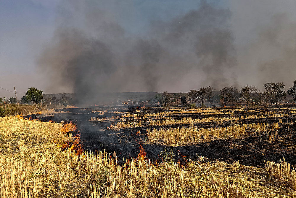 Stubble burning in MPs Raisen