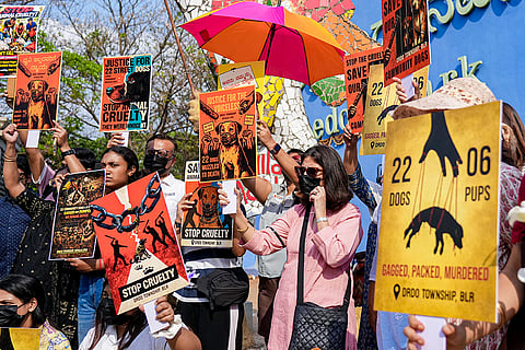 People hold placards during a protest after 22 community dogs were allegedly caught and taken from DRDO township, at Freedom Park, in Bengaluru, Karnataka.