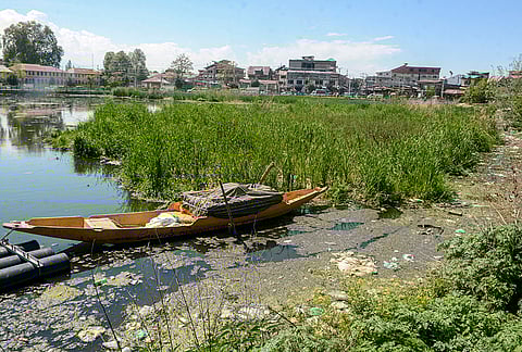 A shikara lies moored amid weeds and pollution in Brari Nambal, in Srinagar. According to a CAG report, several water bodies in Kashmir are shrinking due to environmental factors. 