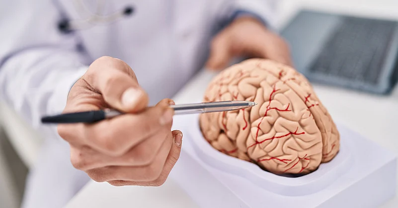 A doctor pointing to a brain with a pen
