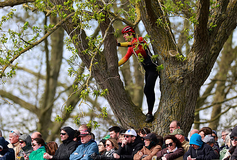 Cycling fans watch the Paris-Roubaix cycling race in Roubaix, France.