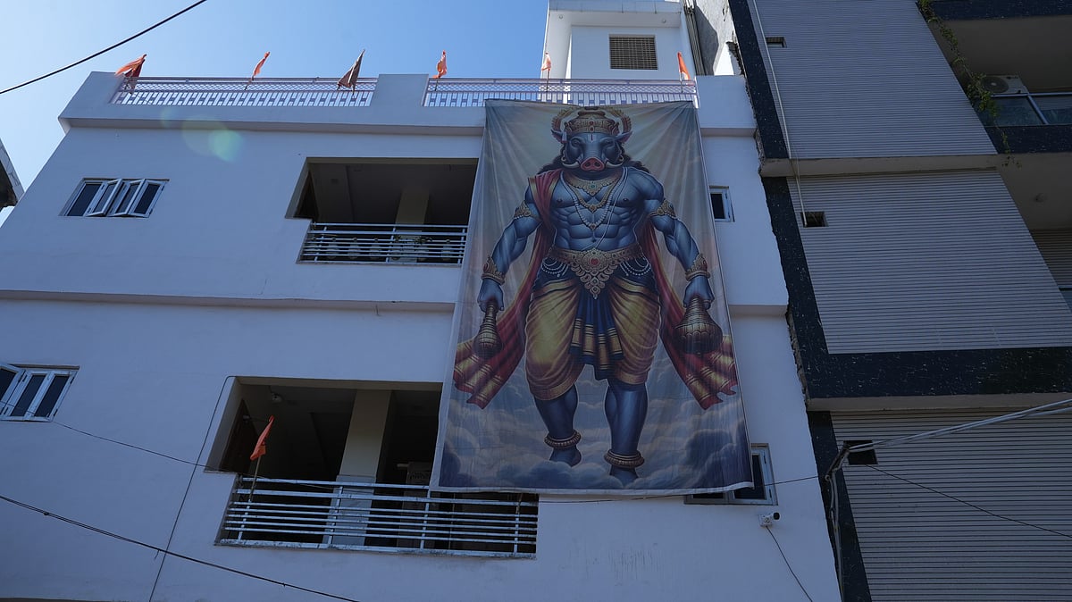 Large flex print of Varaha hanging on the facade of one of the residential buildings in Tri Nagar. - Photo: Subhashree Rath