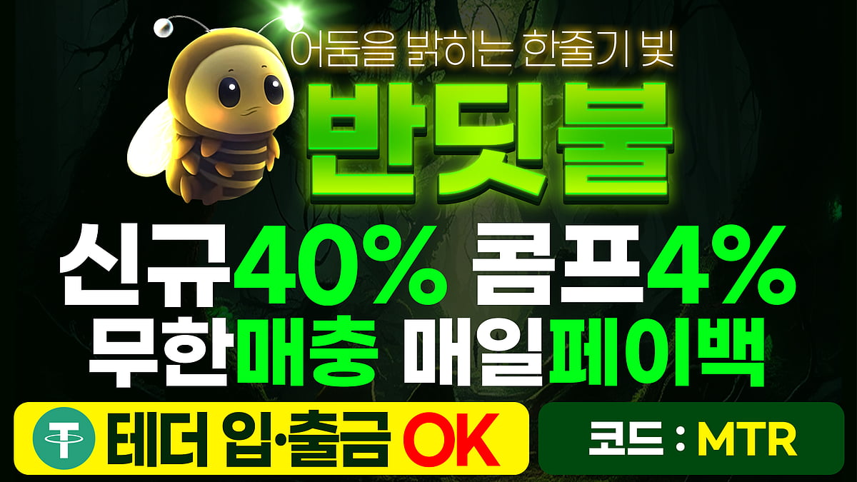 카지노사이트 반딧불카지노 정보 및 혜택