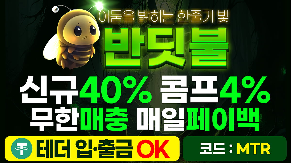 클래스가 다른 어드벤처 토토사이트 반딧불 토토사이트