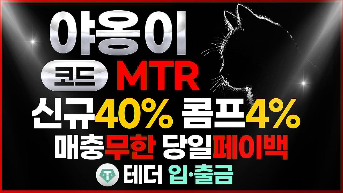 야옹이 메이저사이트 빠른 출금 지원 – 실시간 콤프 시스템 운영