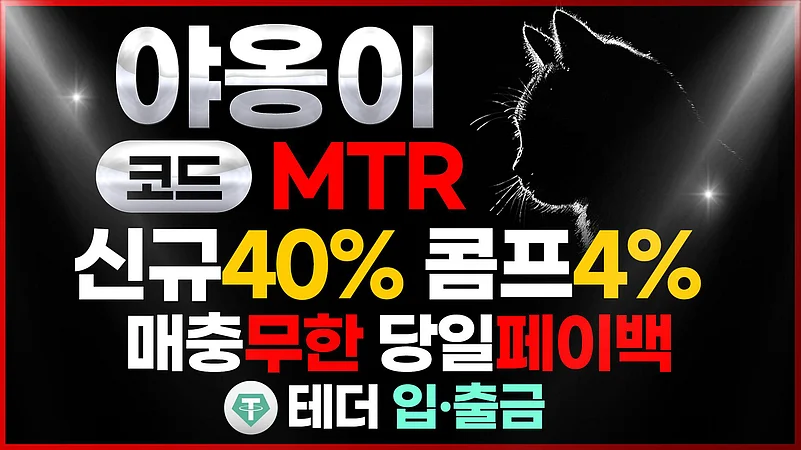 야옹이 메이저사이트 빠른 출금 지원 – 실시간 콤프 시스템 운영