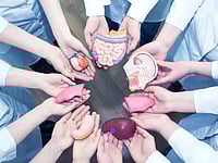 Beyond Gratitude: Experts Call For Compassionate Support For Organ Donor Families