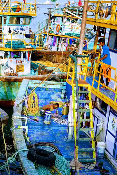 Between tides and trade, life at Sassoon Dock slows, mirroring the challenges faced by Mumbai’s fishing community.