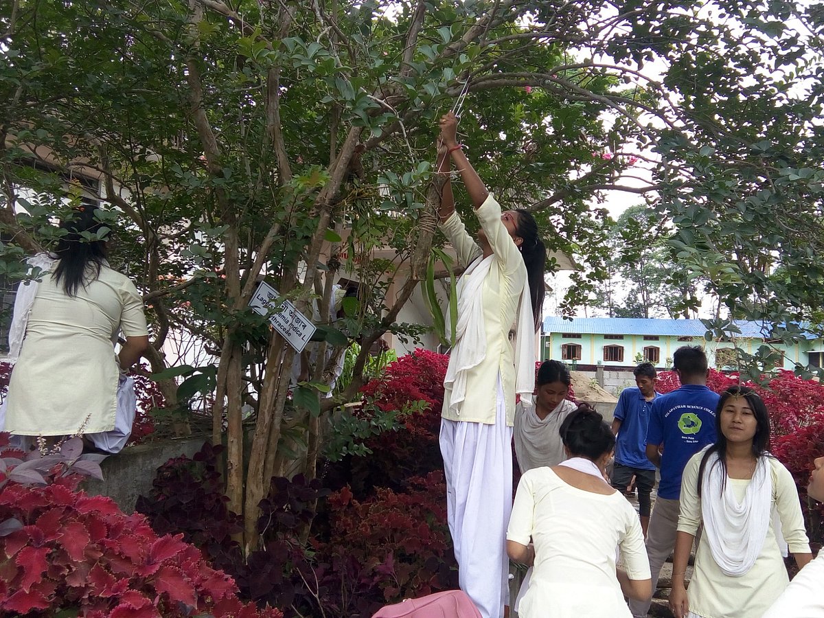Students learning the art of cultivating foxtail orchids. 

