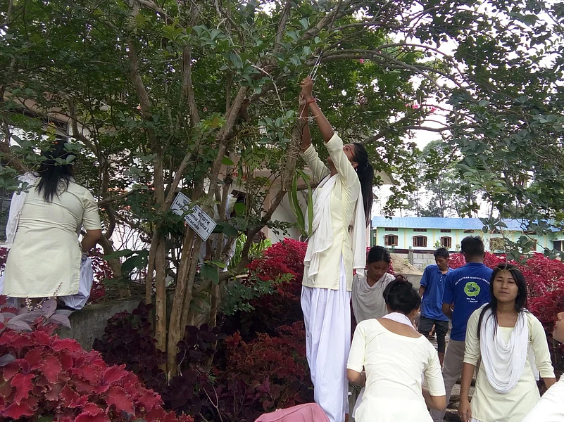 Students learning the art of cultivating foxtail orchids.