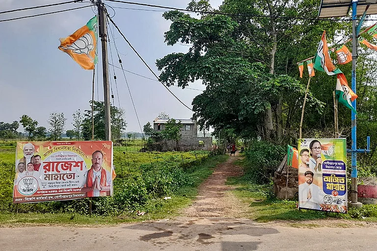 Election posters and flags of political parties line a village road in the Gopiballavpur Assembly segment ahead of the West Bengal Assembly elections, in Jhargram, West Bengal. - Photo: Handout via PTI; Representative image