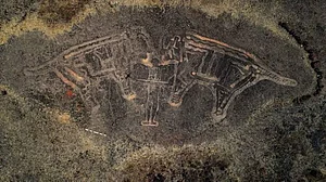 X.com :
The ancient petroglyphs in Ratnagiri, Konkan are estimated to be 10,000–20,000 years old, and depict extinct fauna like one-horned rhinos, elephants, and reptiles.