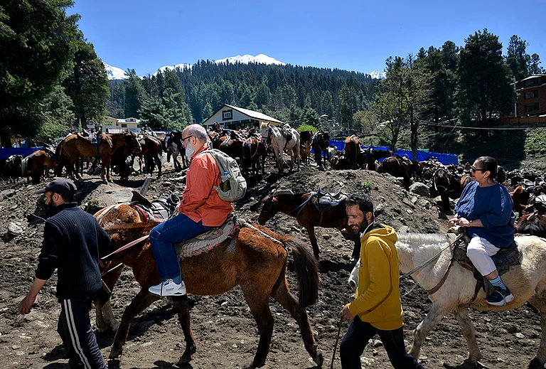 Tourists enjoy a horse ride through the scenic trails of Pahalgam. A year after the attacks, the region’s tourism revival is slowly gaining momentum, bringing a sense of hope back to the local community. - | Photo: Yasir Iqbal