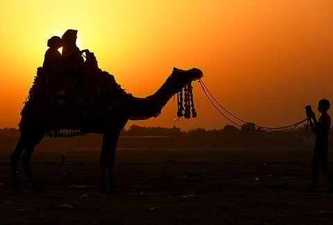 A silhouette of tourists during a camel ride at the banks of Sangam on the occasion of Earth Day, in Prayagraj.