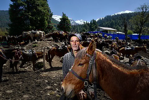 Waiting for tourists in Pahalgam, 46-year-old Farooq Ahmad stands with his pony. With the route to Baisaran restricted, Farooq finds himself with little work. "I hope it will reopen and things will get better," he says.