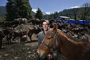 Yasir Iqbal : Waiting for tourists in Pahalgam, 46-year-old Farooq Ahmad stands with his pony. With the route to Baisaran restricted, Farooq finds himself with little work. "I hope it will reopen and things will get better," he says.