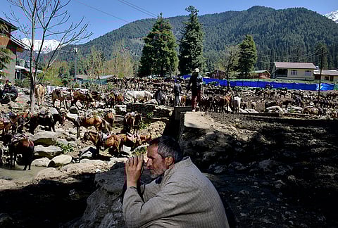 A pony walla sits and waits for customers to take for a ride in Pahalgam.