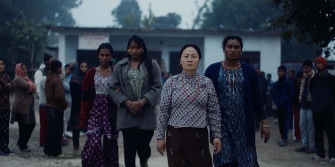 Elephants in the Fog