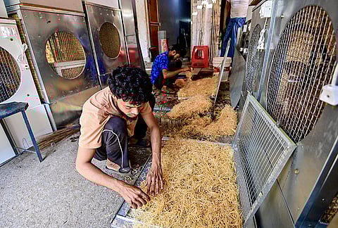 Workers prepare cooling pads for air coolers amid summer heat, in Prayagraj.