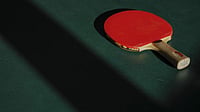 Table Tennis Player Dies: Tamil Nadu Paddler Passes Away After Collapsing During Masters Nationals Match In Pune File : Table Tennis Player dies at National Masters TT Championships in Pune.