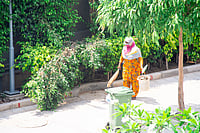 As Voters Go Home to Vote, NCR Homes Lament 'Maid Shortage' IMAGO / Depositphotos