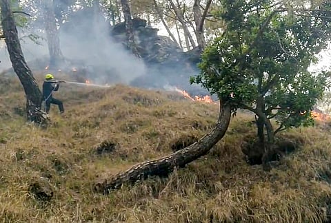 A firefighter conducts a dousing operation as flames and smoke billows during a forest fire, in Almora district, Uttarakhand.