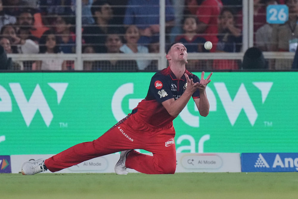 Josh Hazlewood Indian Premier League