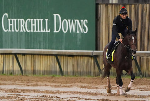 Kentucky Derby entrant Golden Tempo works out at Churchill Downs in Louisville, Kentucky.