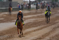 | Photo: AP/Charlie Riedel : Kentucky Derby entrant Emerging Market works out at Churchill Downs in Louisville, Kentucky.